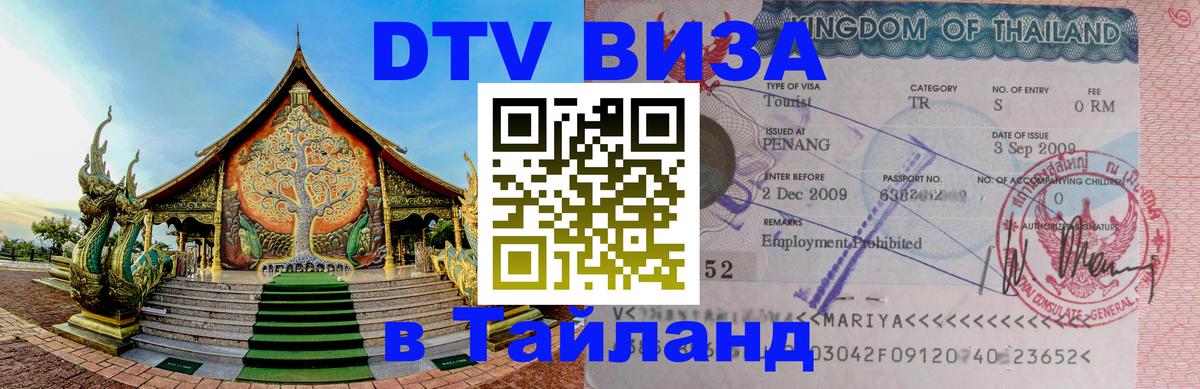 Оформление DTV визы под ключ: стоимость и тарифы, только загранпаспорт - 